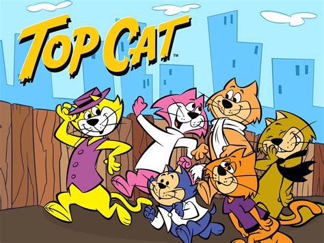 top cat cartoon|top cat cartoon photos.